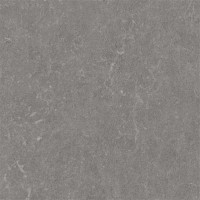 5607 Light Neutral Grey 